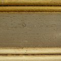 TORTORA ANTICO PROFILO ORO 21 TORTORA ANTICO PROFILO AVORIO