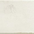 bianco provenzale
