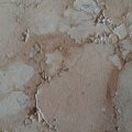 IMG-20191205-WA0000